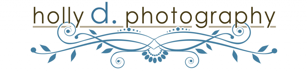 Holly D Photography Logo